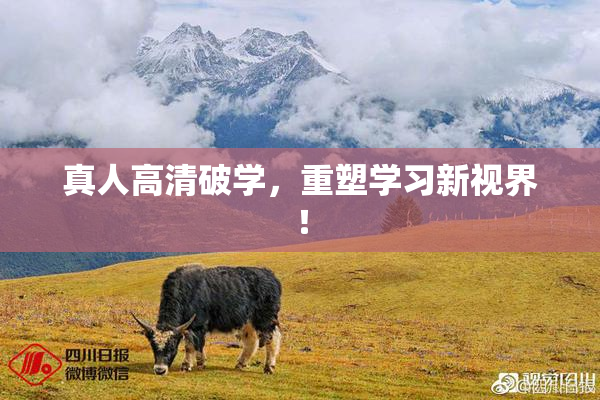 真人高清破学，重塑学习新视界！