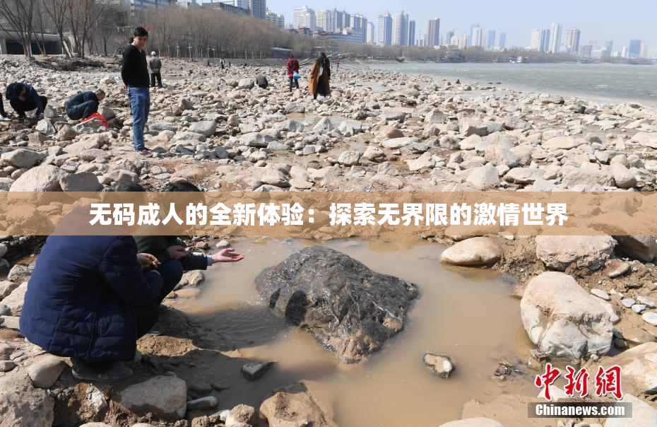 无码成人的全新体验：探索无界限的激情世界