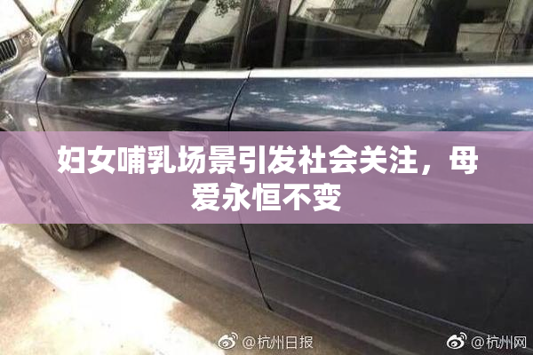妇女哺乳场景引发社会关注，母爱永恒不变