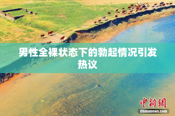 男性全裸状态下的勃起情况引发热议
