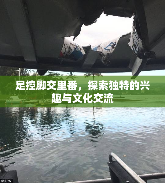 足控脚交里番，探索独特的兴趣与文化交流