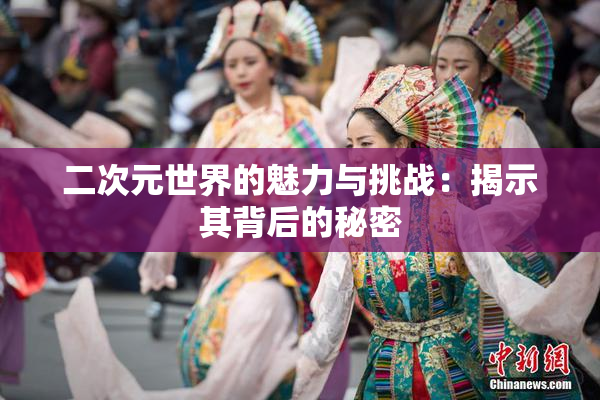 二次元世界的魅力与挑战：揭示其背后的秘密