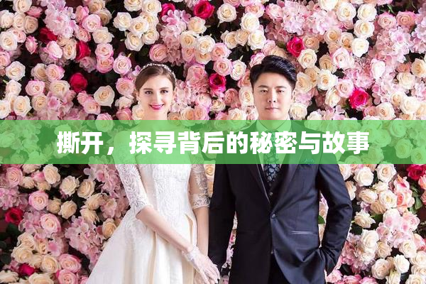 撕开，探寻背后的秘密与故事