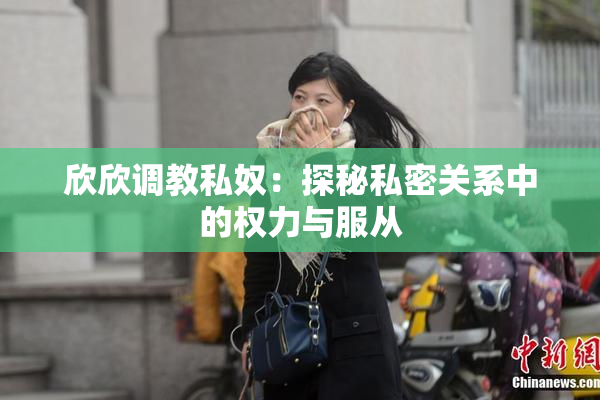 欣欣调教私奴：探秘私密关系中的权力与服从