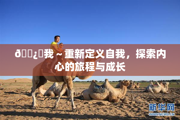 🌿‌我～重新定义自我，探索内心的旅程与成长