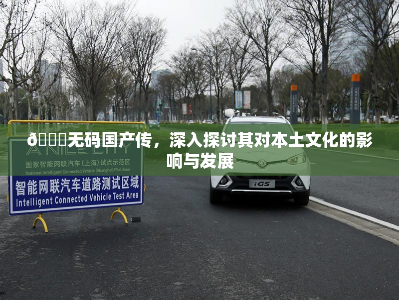 🔞无码国产传，深入探讨其对本土文化的影响与发展