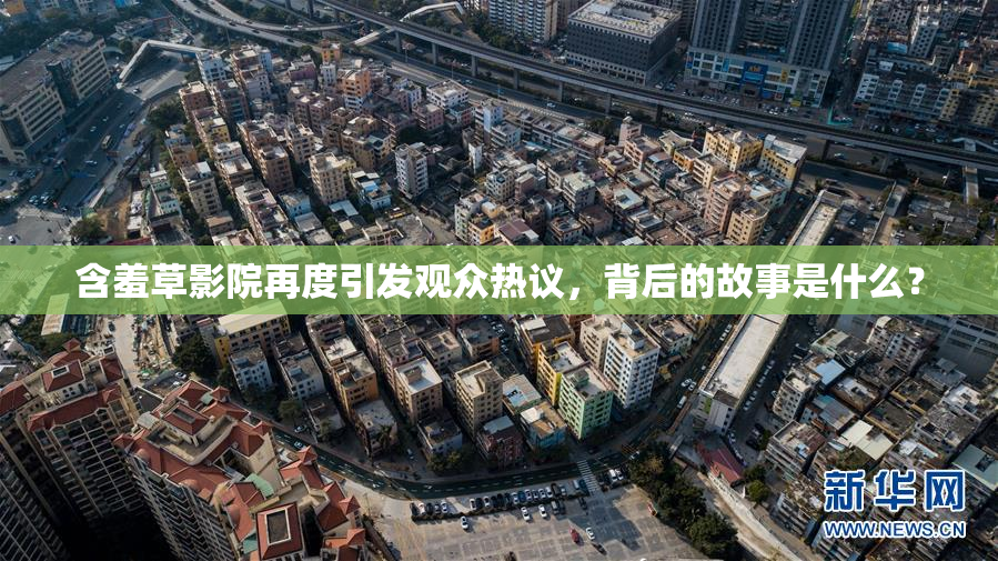 含羞草影院再度引发观众热议，背后的故事是什么？