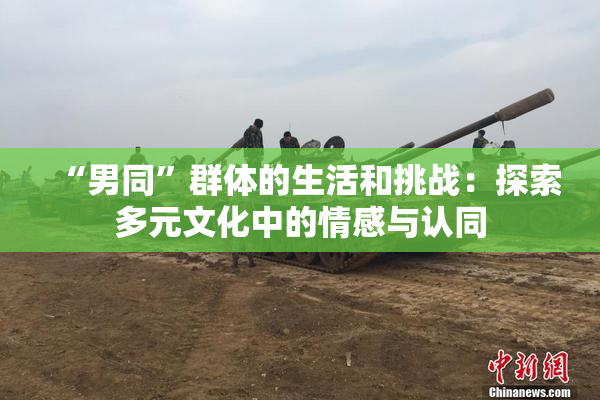 “男同”群体的生活和挑战：探索多元文化中的情感与认同