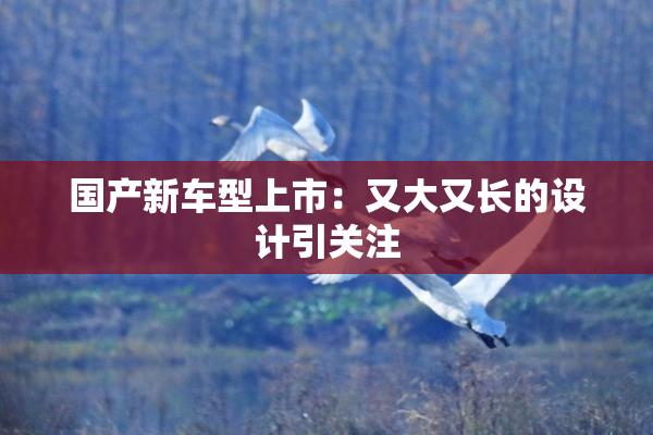 国产新车型上市：又大又长的设计引关注