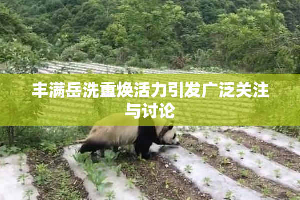 丰满岳洗重焕活力引发广泛关注与讨论