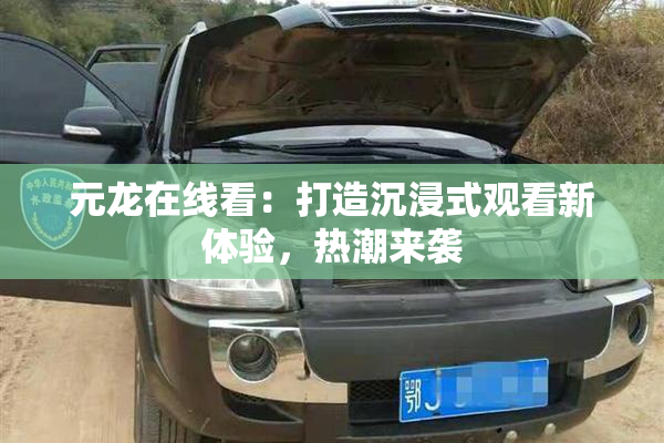 元龙在线看：打造沉浸式观看新体验，热潮来袭