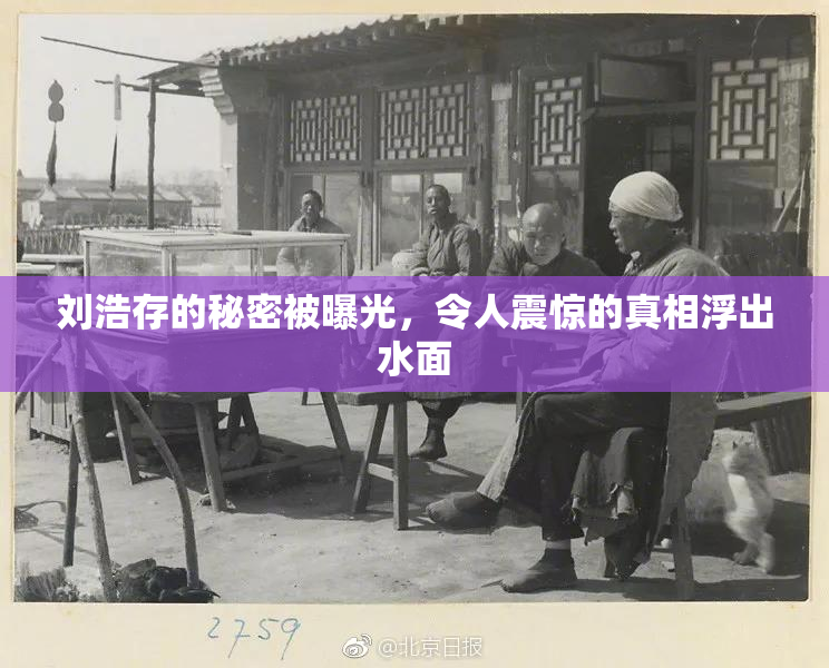 刘浩存的秘密被曝光，令人震惊的真相浮出水面
