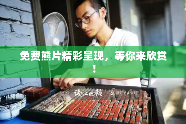 免费熊片精彩呈现，等你来欣赏！