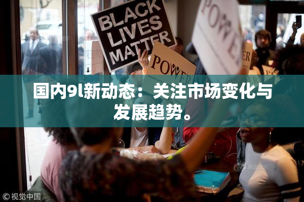 国内9l新动态：关注市场变化与发展趋势。