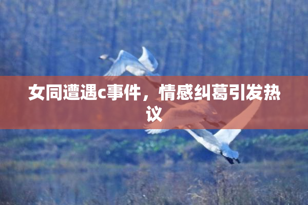 女同遭遇c事件，情感纠葛引发热议