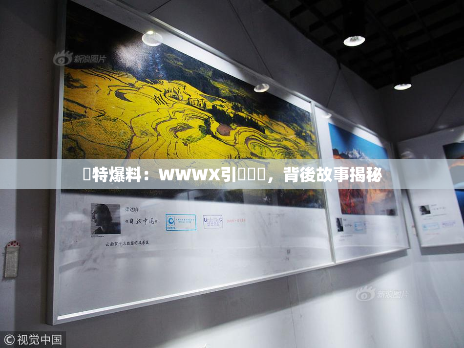 獨特爆料：WWWX引發熱議，背後故事揭秘