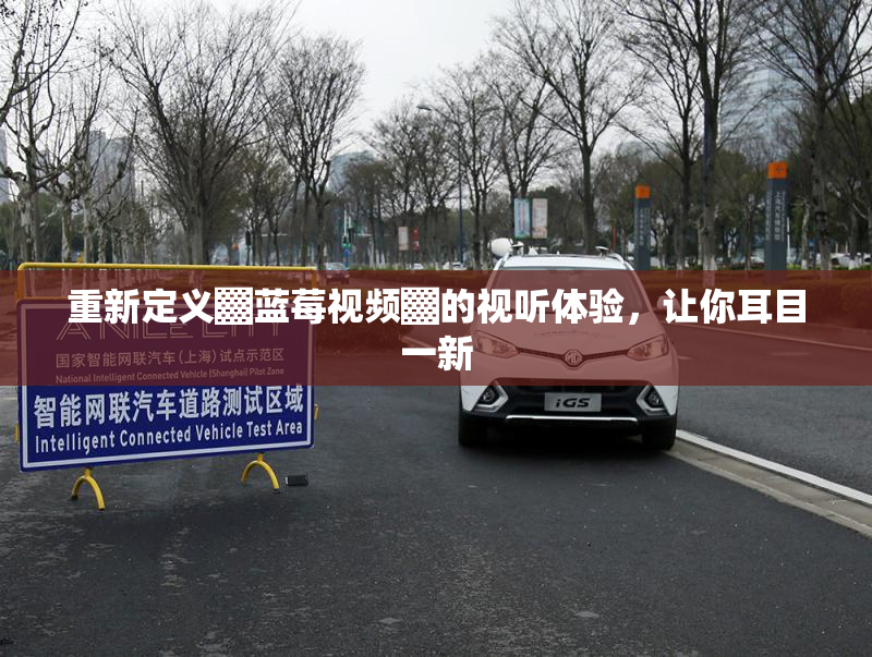 重新定义▓蓝莓视频▓的视听体验，让你耳目一新