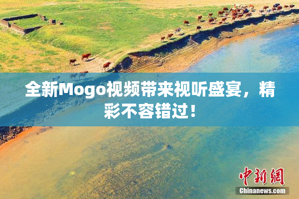 全新Mogo视频带来视听盛宴，精彩不容错过！