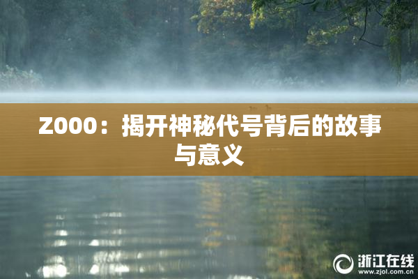 Z000：揭开神秘代号背后的故事与意义