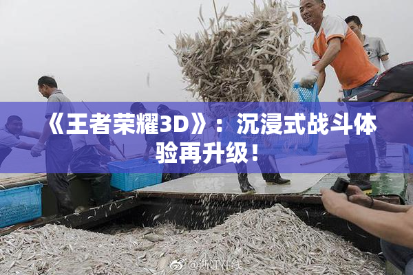 《王者荣耀3D》：沉浸式战斗体验再升级！