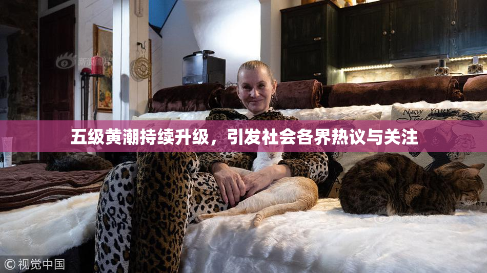五级黄潮持续升级，引发社会各界热议与关注