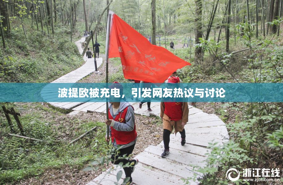 波提欧被充电，引发网友热议与讨论