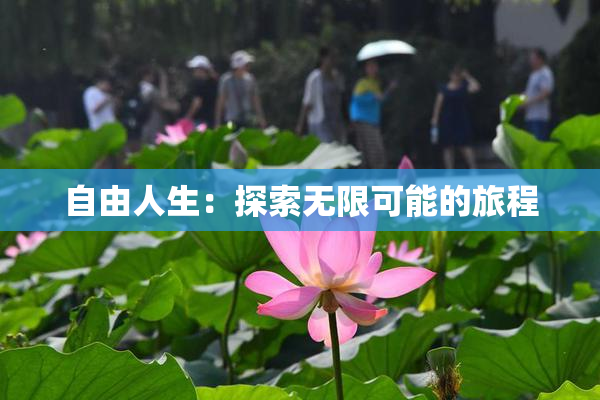 自由人生：探索无限可能的旅程