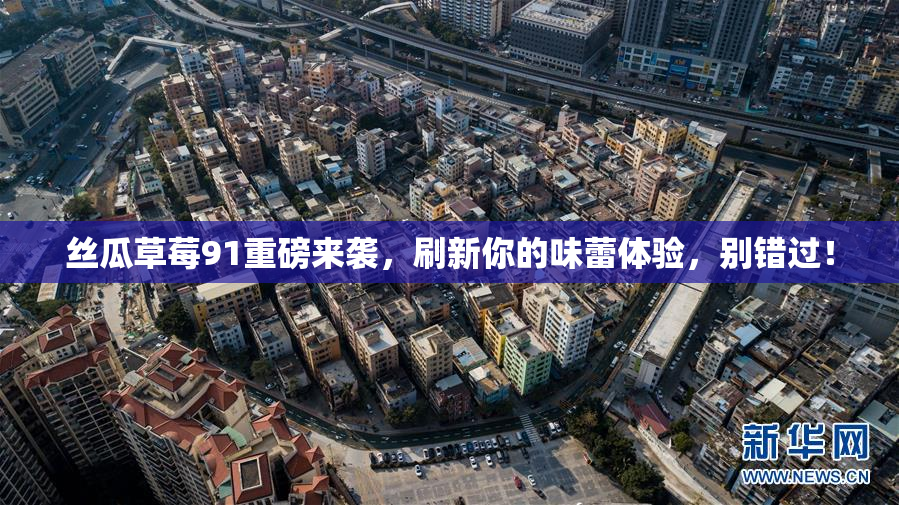 丝瓜草莓91重磅来袭，刷新你的味蕾体验，别错过！