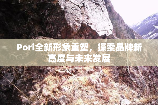 Pori全新形象重塑，探索品牌新高度与未来发展