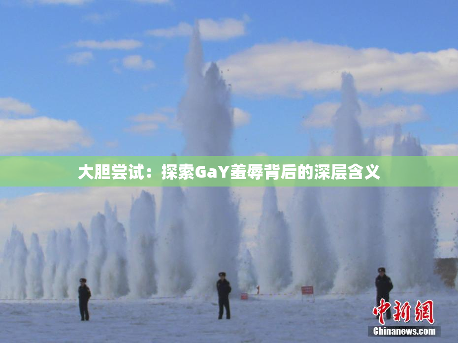 大胆尝试：探索GaY羞辱背后的深层含义