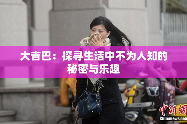 大吉巴：探寻生活中不为人知的秘密与乐趣