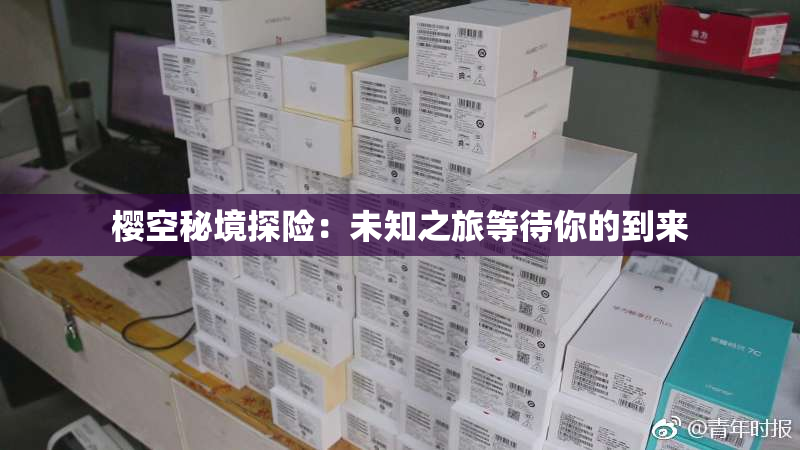 樱空秘境探险：未知之旅等待你的到来
