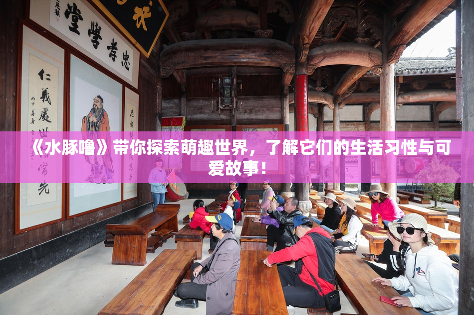 《水豚噜》带你探索萌趣世界，了解它们的生活习性与可爱故事！