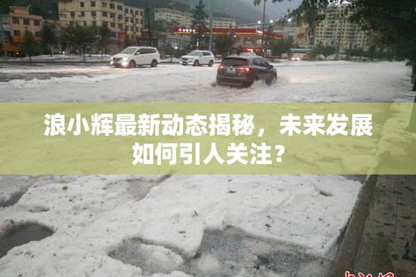 浪小辉最新动态揭秘，未来发展如何引人关注？