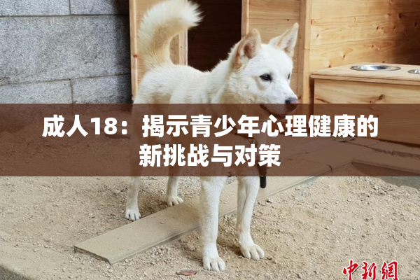 成人18：揭示青少年心理健康的新挑战与对策