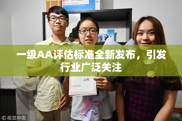 一级AA评估标准全新发布，引发行业广泛关注