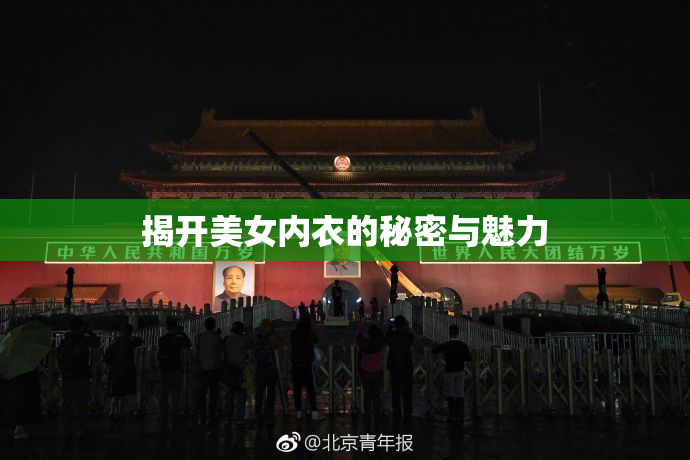 揭开美女内衣的秘密与魅力