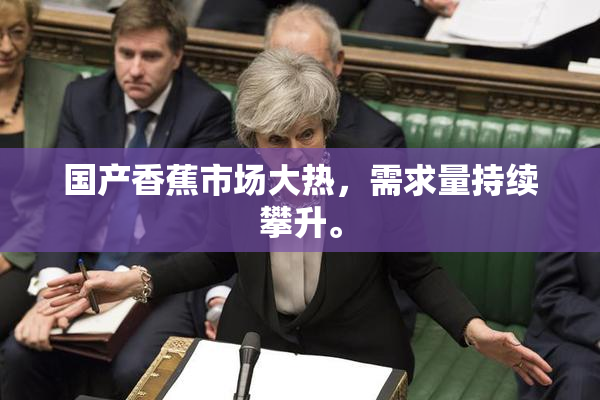 国产香蕉市场大热，需求量持续攀升。