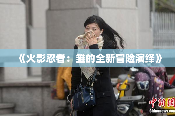 《火影忍者：雏的全新冒险演绎》
