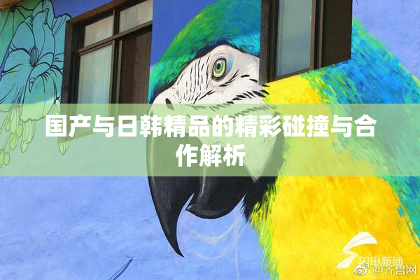 国产与日韩精品的精彩碰撞与合作解析