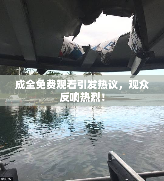 成全免费观看引发热议，观众反响热烈！