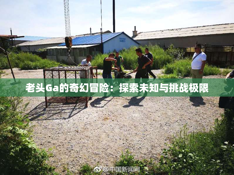 老头Ga的奇幻冒险：探索未知与挑战极限