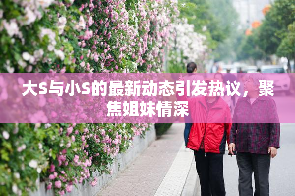 大S与小S的最新动态引发热议，聚焦姐妹情深