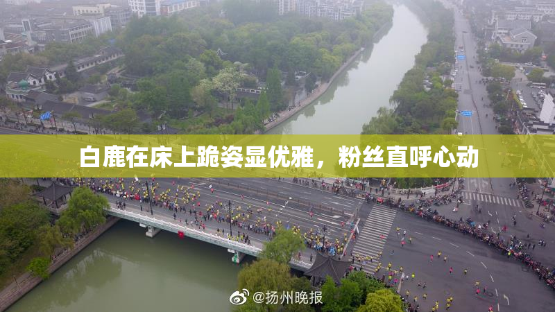 白鹿在床上跪姿显优雅，粉丝直呼心动
