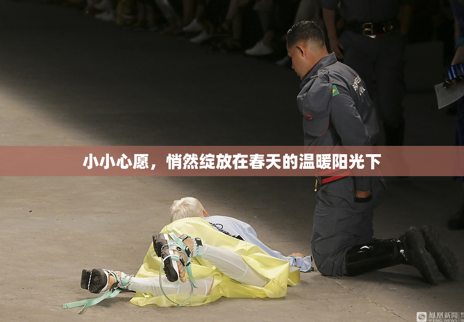 小小心愿，悄然绽放在春天的温暖阳光下