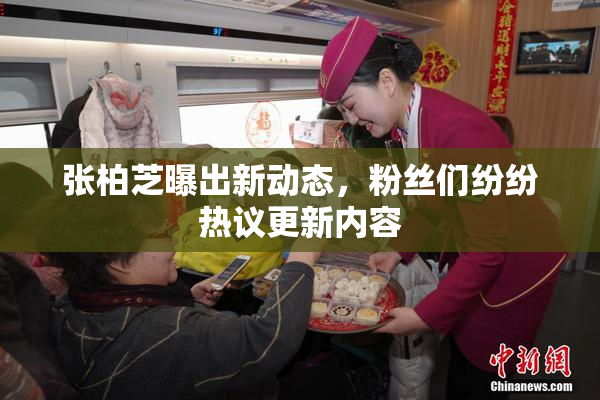 张柏芝曝出新动态，粉丝们纷纷热议更新内容