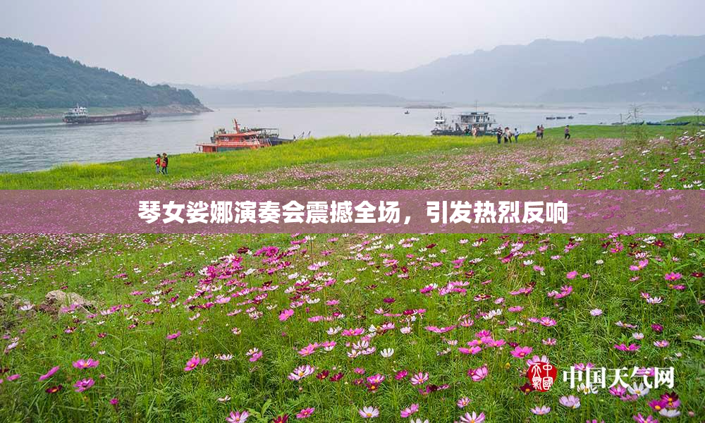 琴女娑娜演奏会震撼全场，引发热烈反响