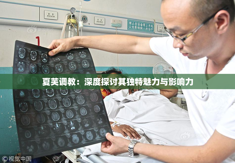 夏芙调教：深度探讨其独特魅力与影响力