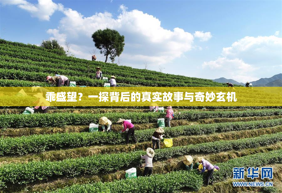 乖盛望？一探背后的真实故事与奇妙玄机