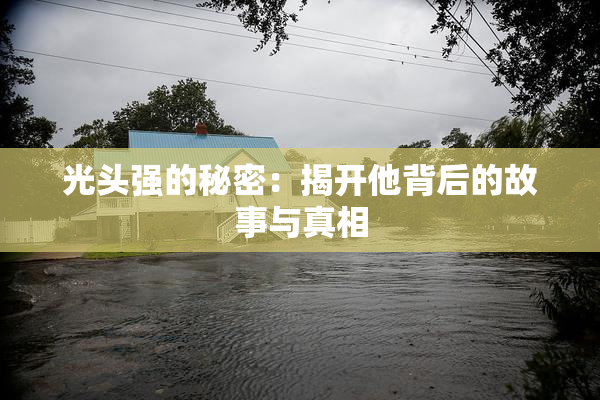 光头强的秘密：揭开他背后的故事与真相